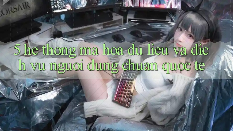 5. Hệ Thống Mã hóa dữ liệu Và Dịch Vụ Người dùng Chuẩn Quốc Tế 5. Hệ Thống Mã hóa dữ liệu Và Dịch Vụ Người dùng Chuẩn Quốc Tế