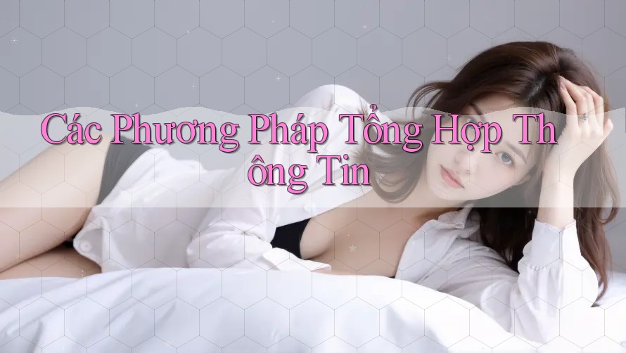 Các Phương Pháp Tổng Hợp Thông Tin Các Phương Pháp Tổng Hợp Thông Tin