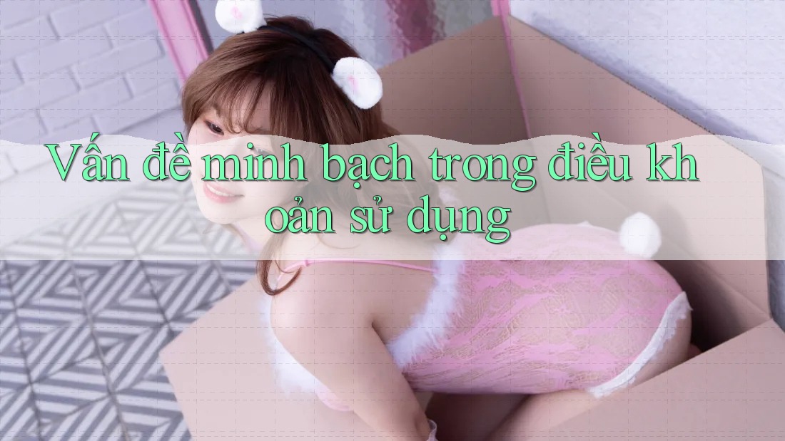 Vấn đề minh bạch trong điều khoản sử dụng Vấn đề minh bạch trong điều khoản sử dụng